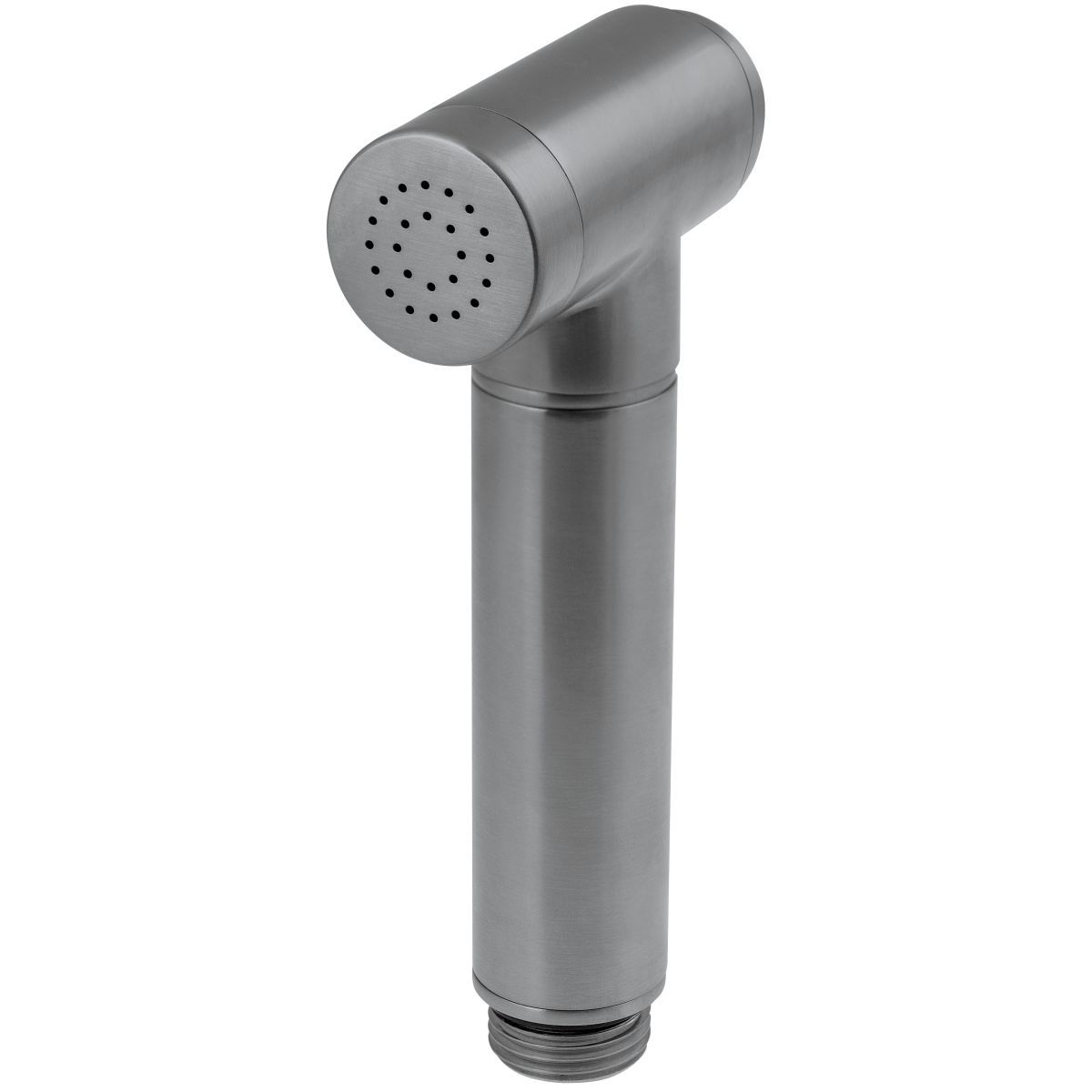 Deante Toilet Bidet Shower in Titanium