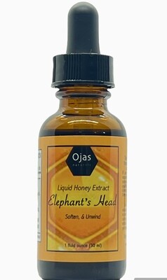 Elephant's Head (Pedicularis) Honey Extract