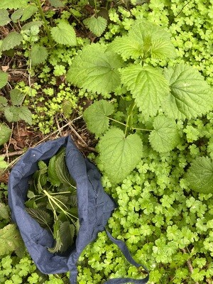 The Viritidas of Wild Greens