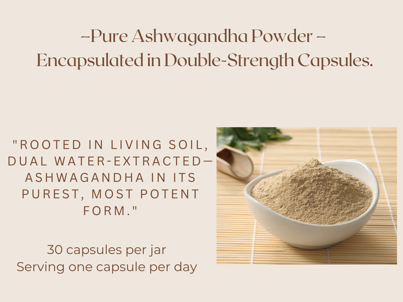 Ashwagandha Dual Extract Capsules