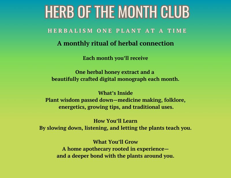 Herb of the Month
