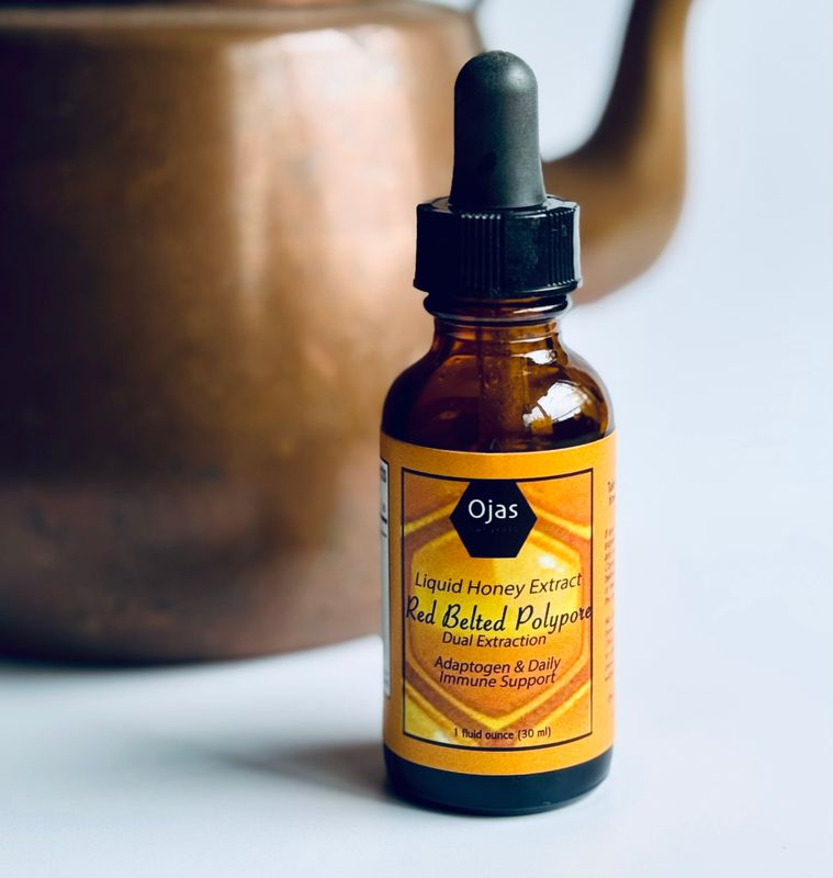Red Belted Polypore Honey Extract &quot;Dual Extraction&quot;