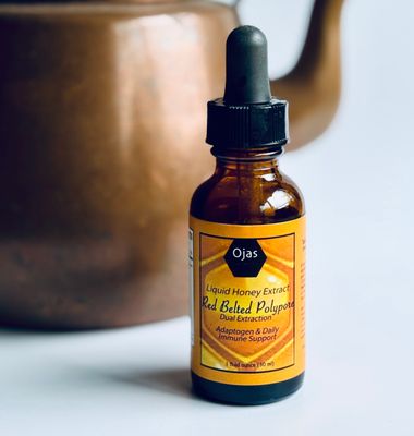 Red Belted Polypore Honey Extract &quot;Dual Extraction&quot;