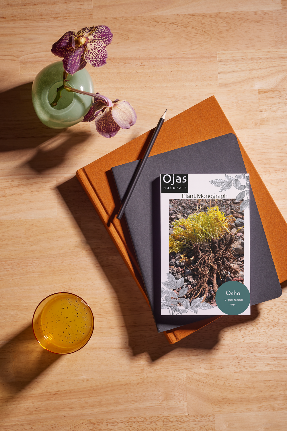 Osha - Plant Monograph ebook