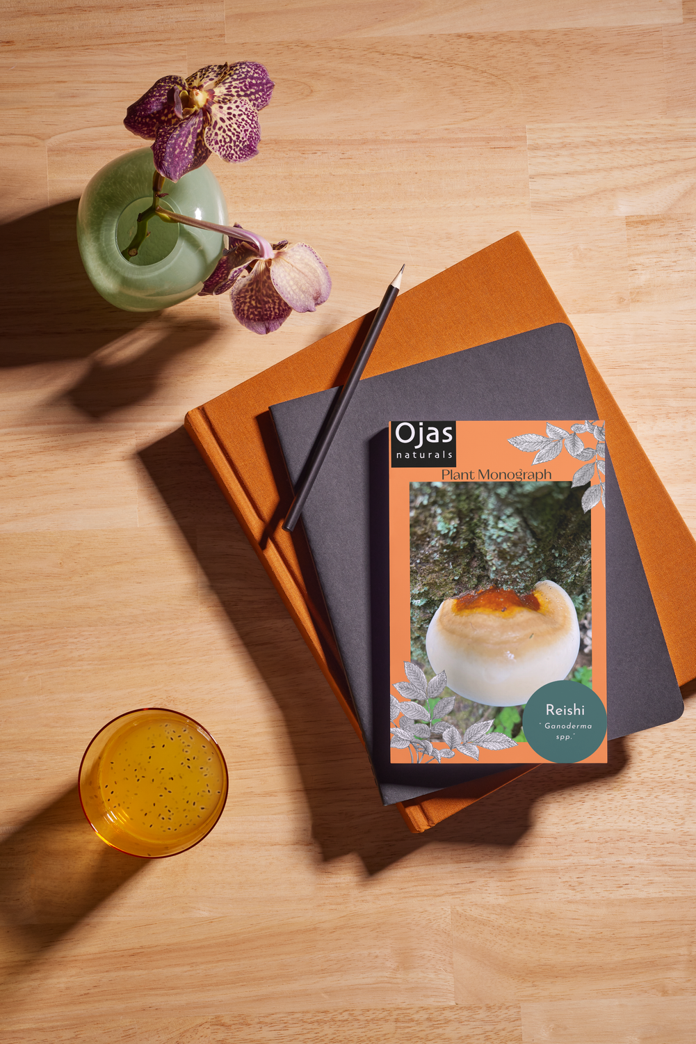 Reishi/ Artist Conk- Plant Monograph ebook