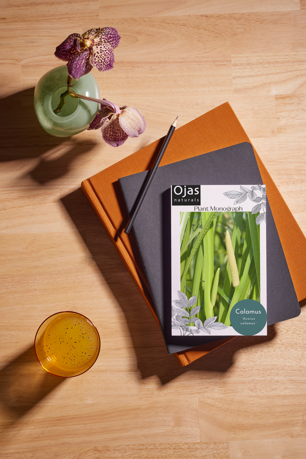 Calamus - Plant Monograph ebook