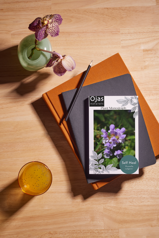 Self Heal  - Plant Monograph ebook