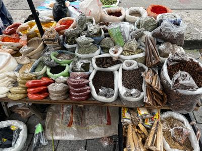 Herbal Teachings &amp; Tea Guides – Free Downloads