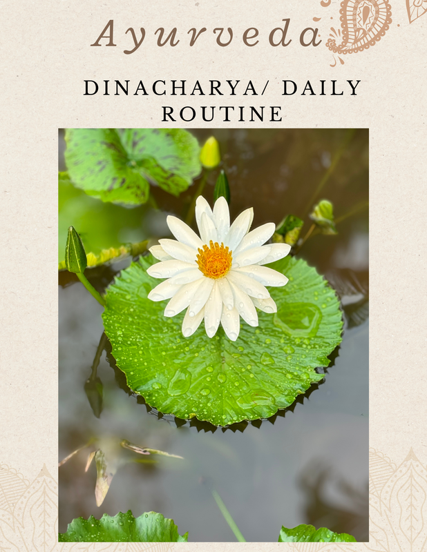 Daily Rhythm – Dinacharya Guide (Free Download)