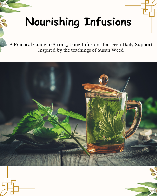 Free guide on Nourishing Herbal Infusions