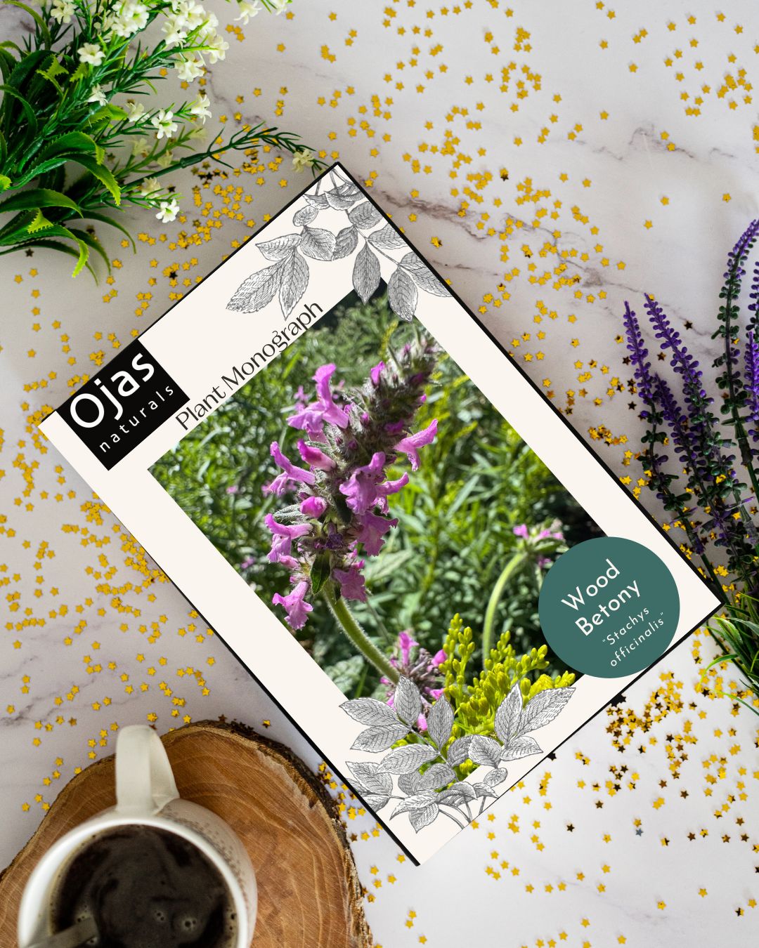 Wood Betony - Plant Monograph ebook