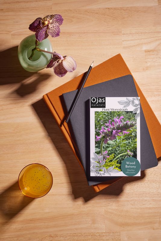 Wood Betony - Plant Monograph ebook