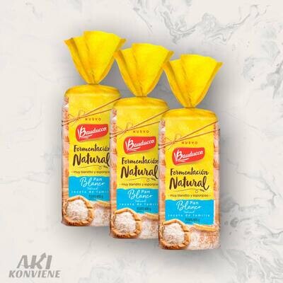 PAN MOLDE BLANCO BAUDUCCO 400 GR.