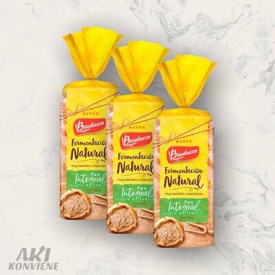 PAN MOLDE INTEGRAL BAUDUCCO 400 GR