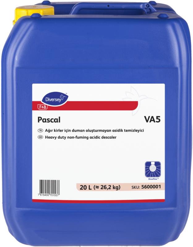 Pascal
