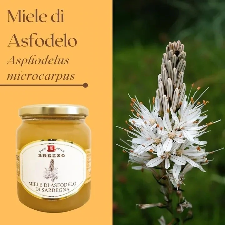 Miele di asfodelo di Sardegna 250g