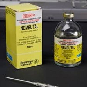 Nembutal for sale
