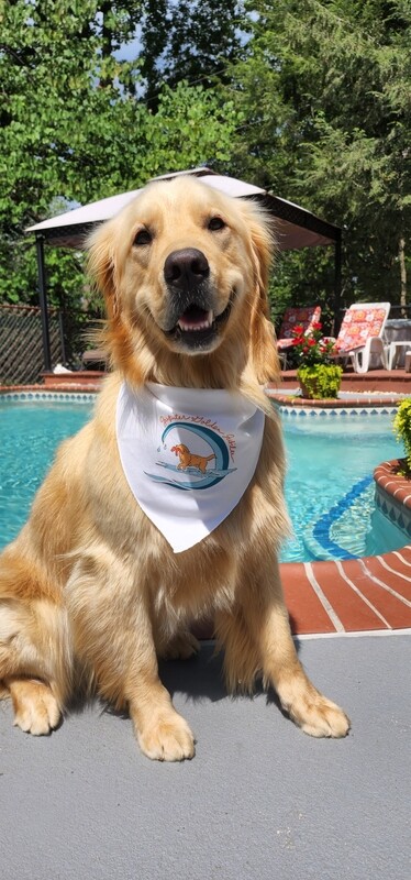 Jupiter Beach Golden Jubilee Bandanas--Free Shipping