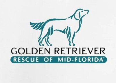 Golden Retriever Rescue Mid Florida
