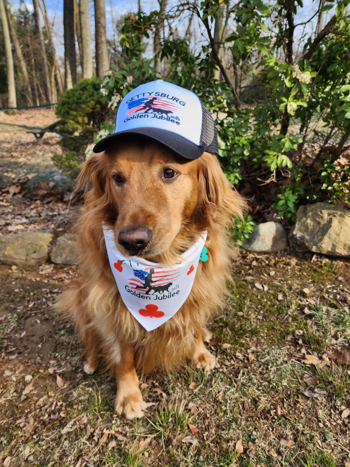 Gettysburg College Pet Bandana