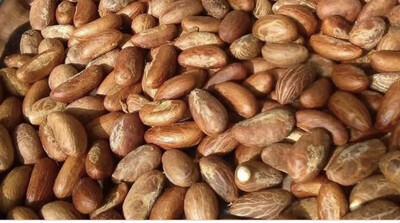 Bitter Kola ( Garcinia Kola)