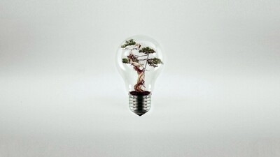 LOGO DESIGN