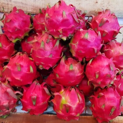 Package 2 Buah AA - x4 Pcs