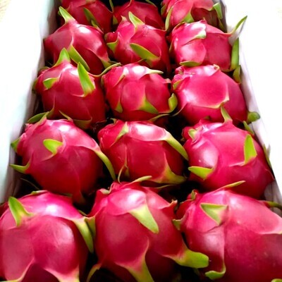 Package 4 Buah B - x7 Pcs