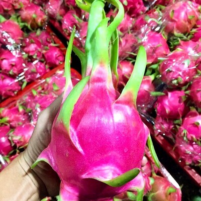 Package 1 Buah AAA - x4 Pcs