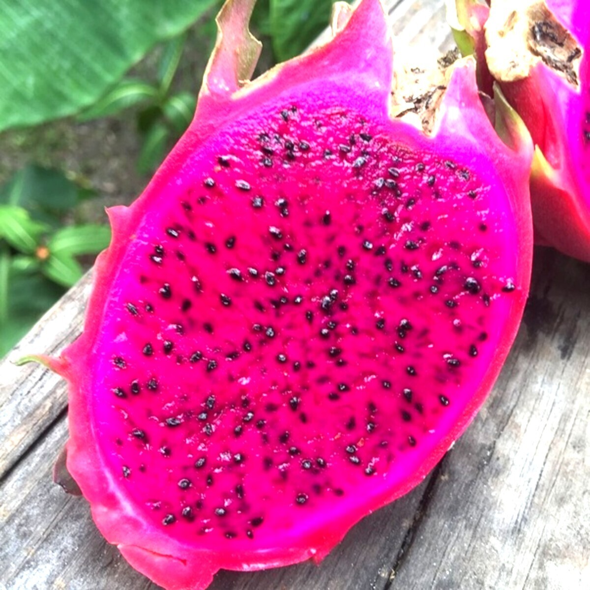 Buah C x1 Pc
