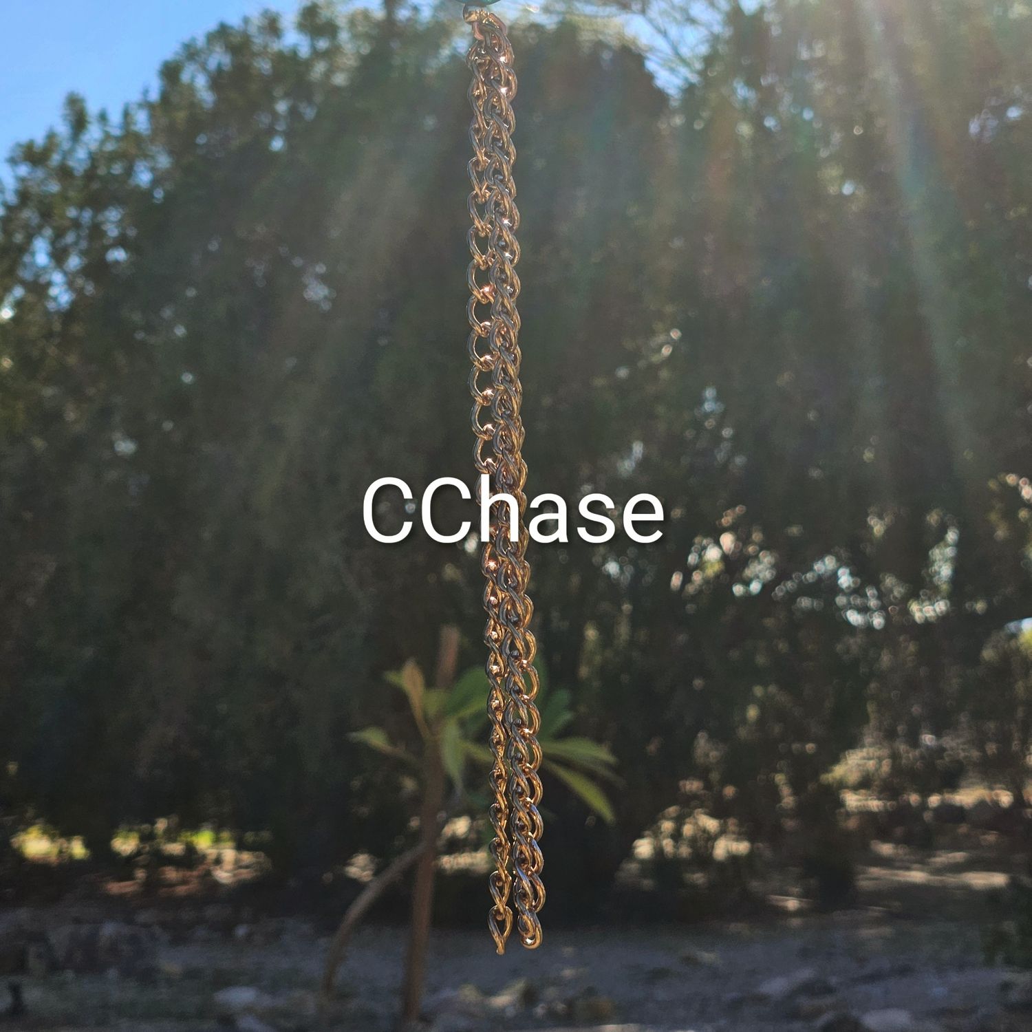 Extra Large Spinner Suncatcher