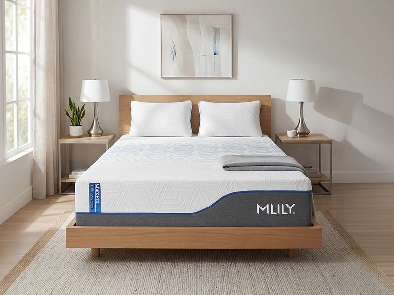 Chiro Firm 1.0 Mattress