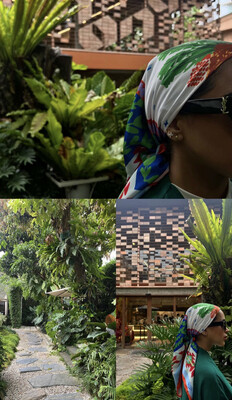 النخلة - Palm Tree🌴