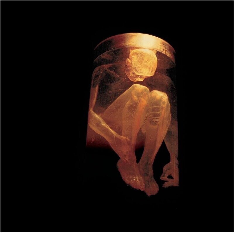 Alice In Chains - Nothing Safe (1999)