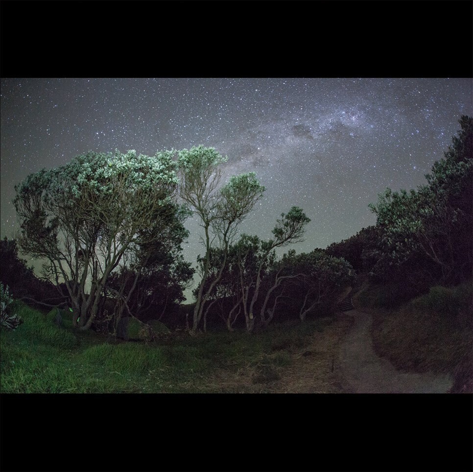 Esben and the Witch - Older Terrors (2016)