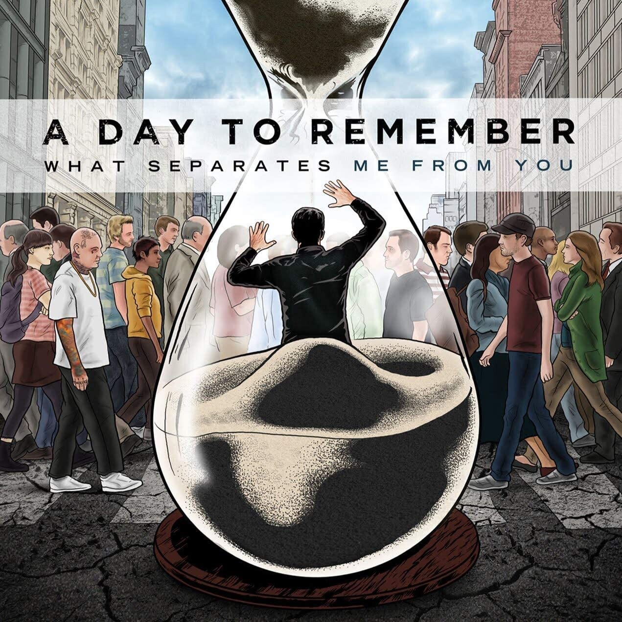 A Day To Remember - What Separates Me From You (Black Vinyl) (2010)
