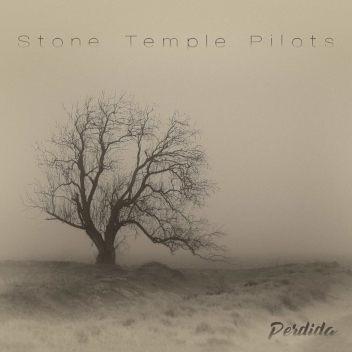 Stone Temple Pilots - Perdida (Digisleeve) (2020)
