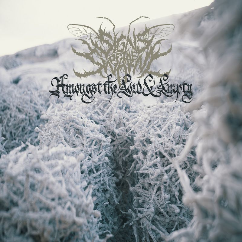 Signs Of The Swarm – Amongst The Low &amp; Empty (Black Vinyl) (2023)