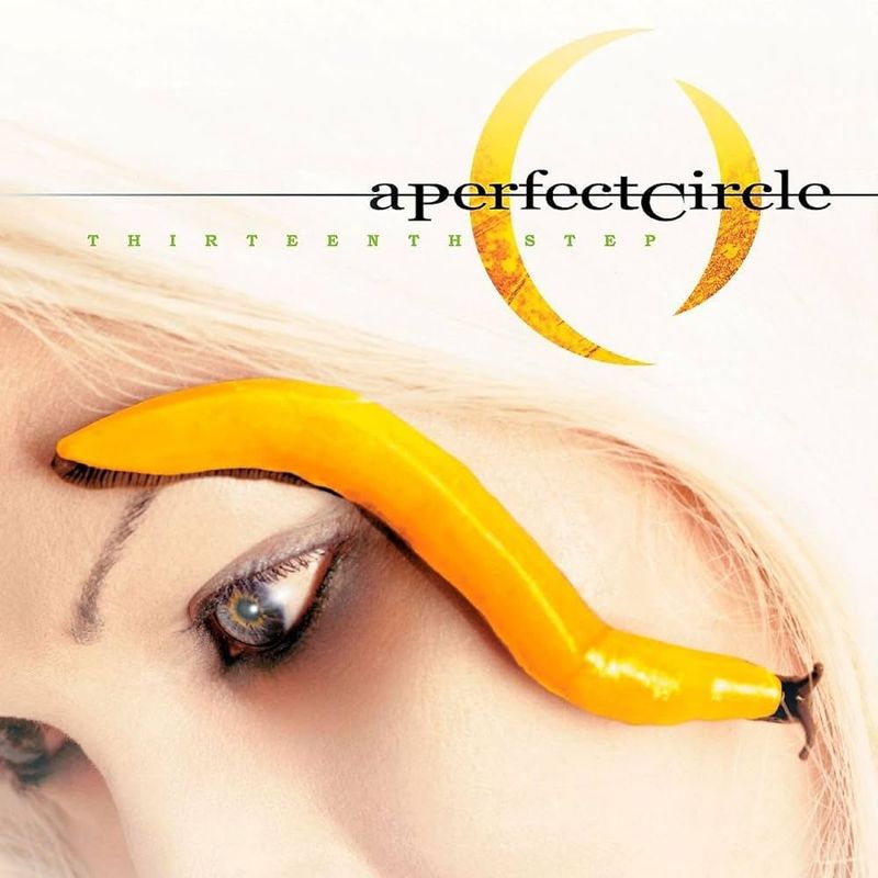 A Perfect Circle – Thirteenth Step (2003)