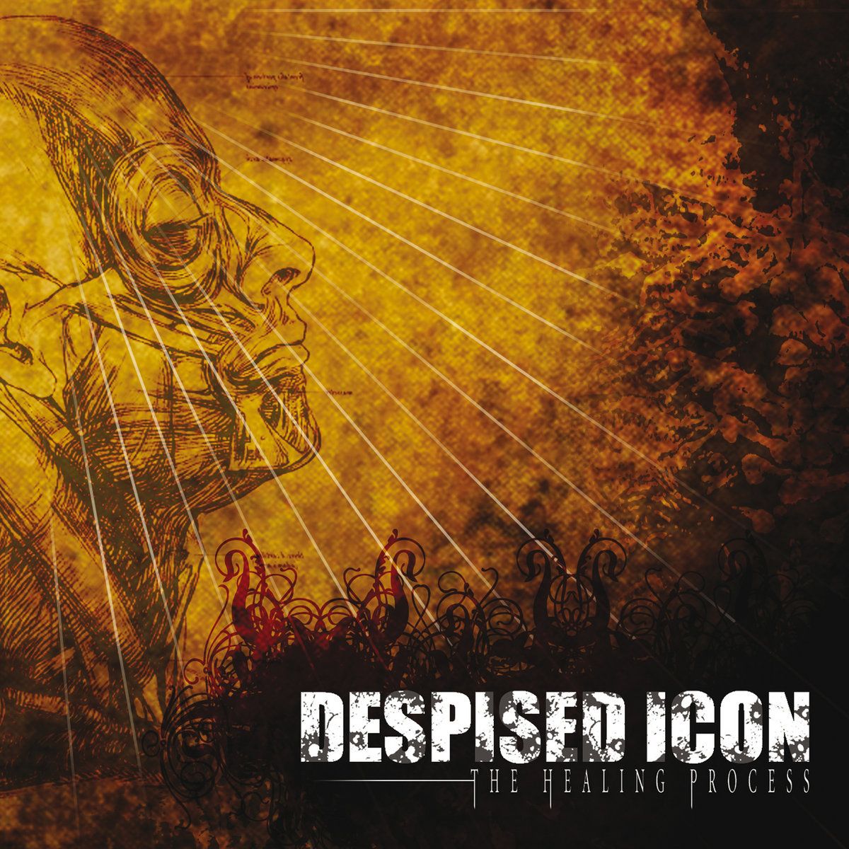 Despised Icon – The Healing Process (6 Bonus Tracks) (2005)