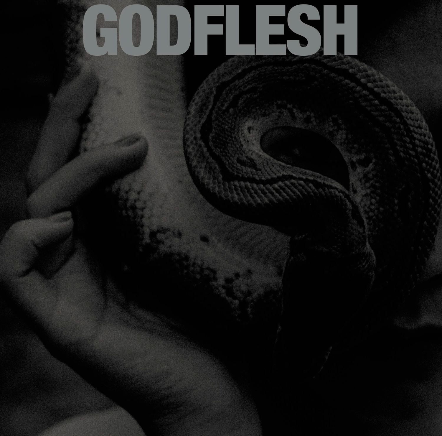 Godflesh – Purge (Black Vinyl) (2023)