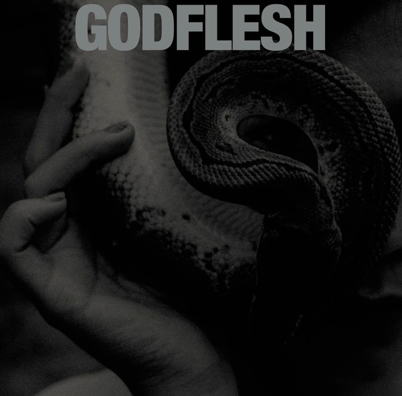 Godflesh – Purge (Black Vinyl) (2023)