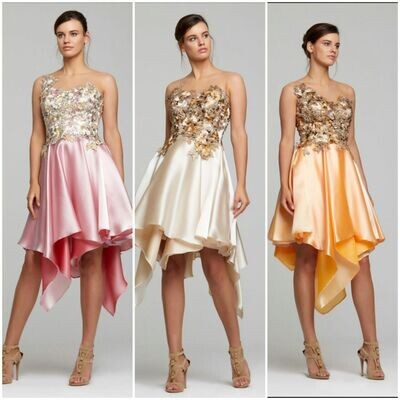 Ladies&#39; designer dress