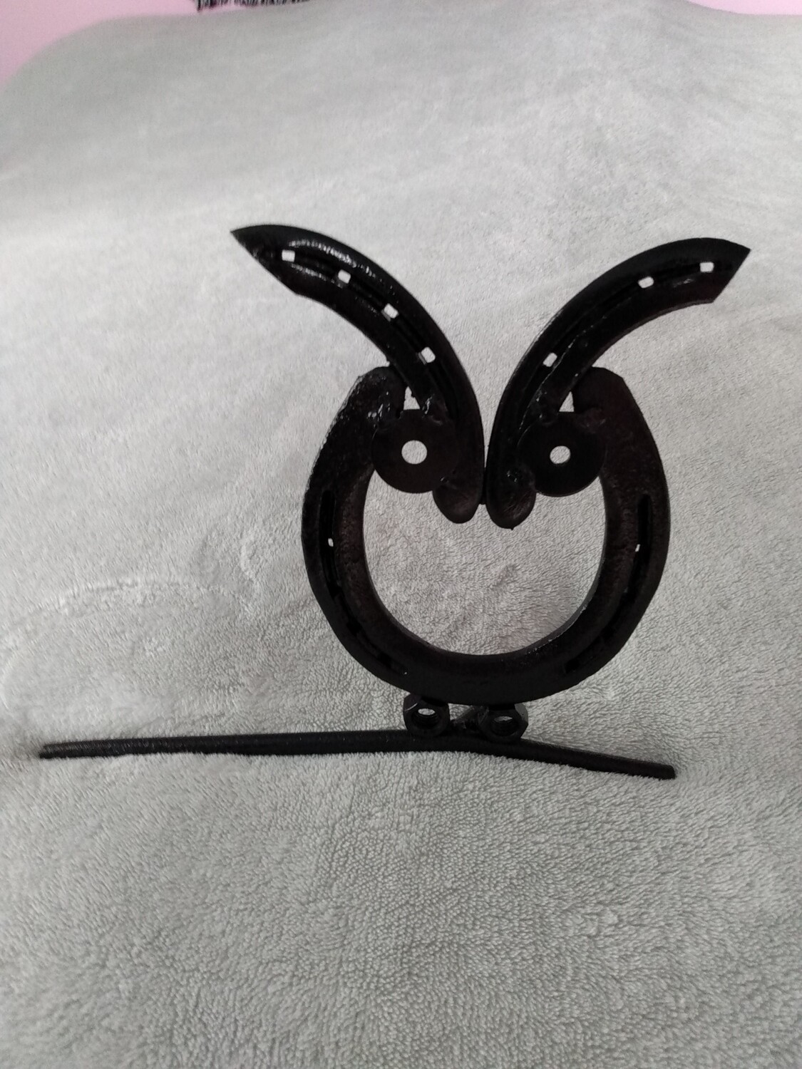 Horse shoe Owl on a branch