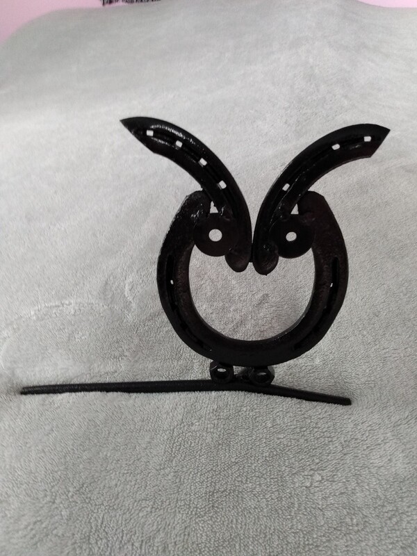 Horse shoe Owl on a branch