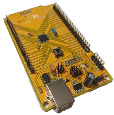 RADIX ECHO