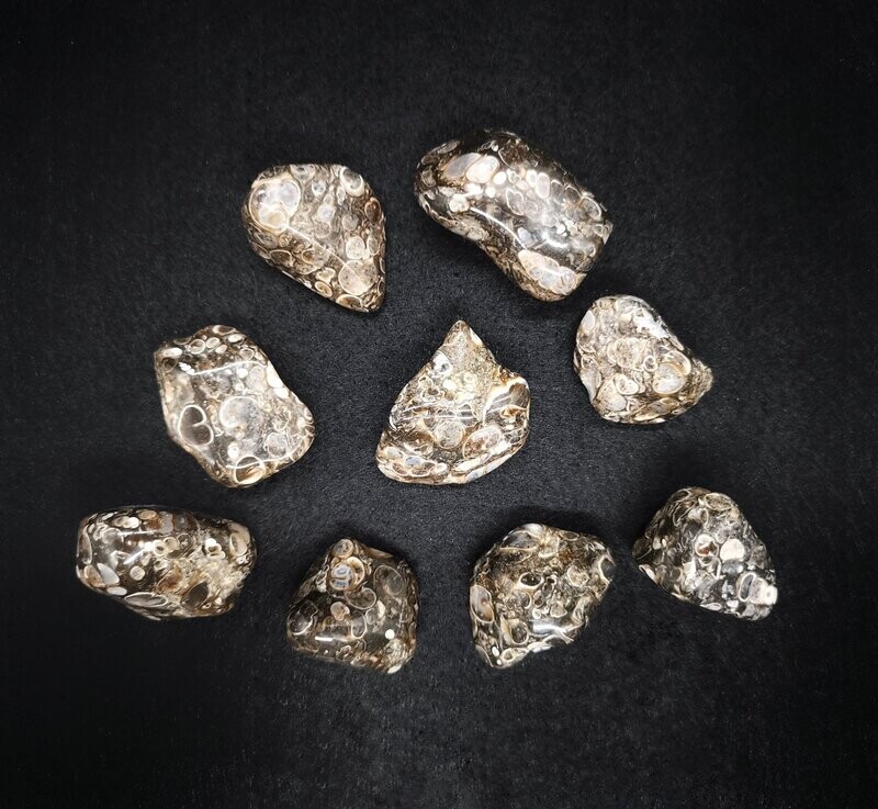 Turitellaachat Trommelstein Größe XL