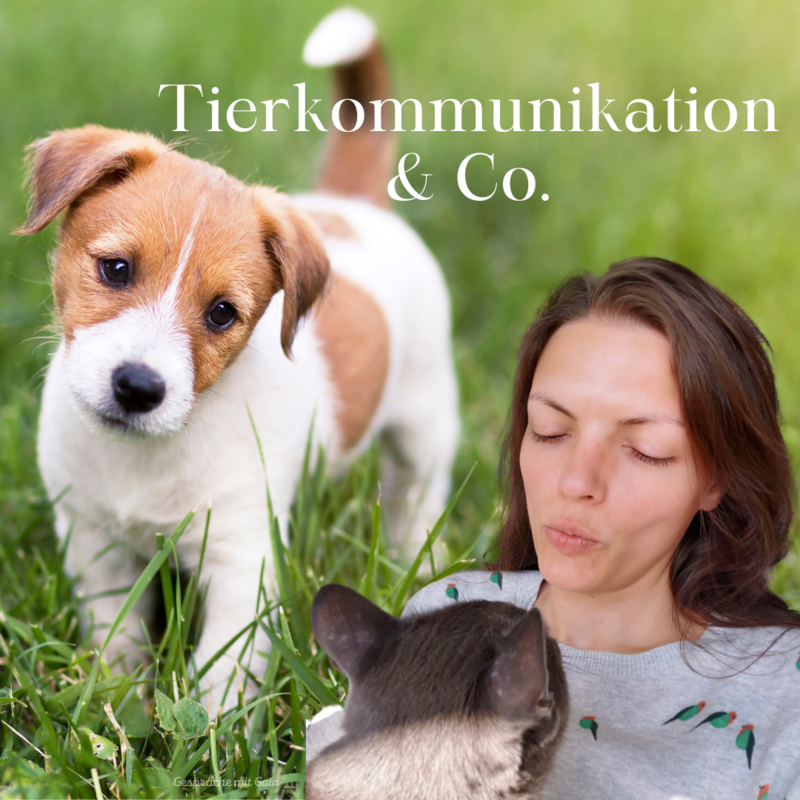 Tierkommunikaton (online)