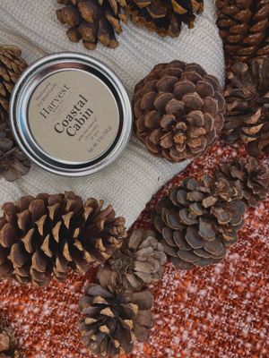 HARVEST CANDLE: COASTAL CABIN