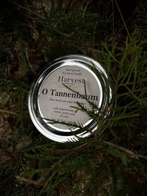 HARVEST CANDLE: O&#39;TANNENBAUM